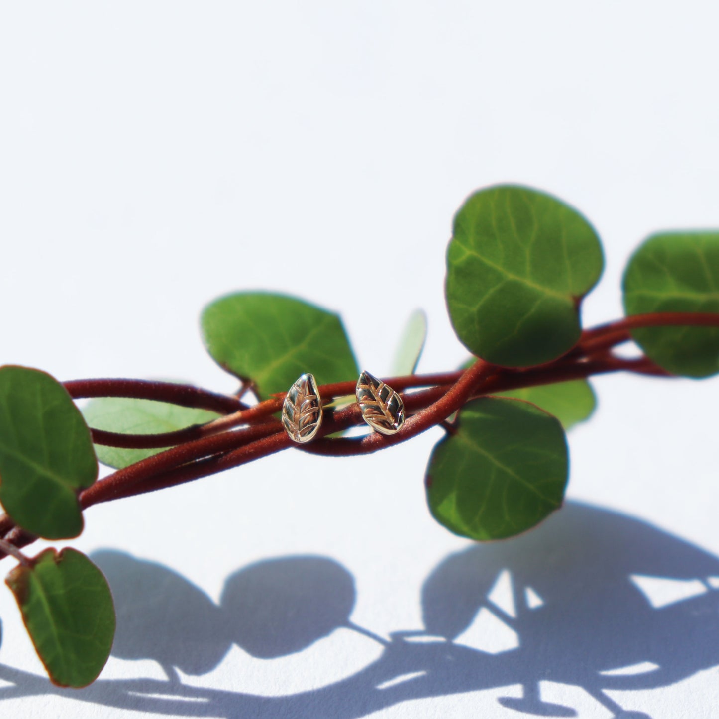 Pōhutukawa Leaf Petite Studs