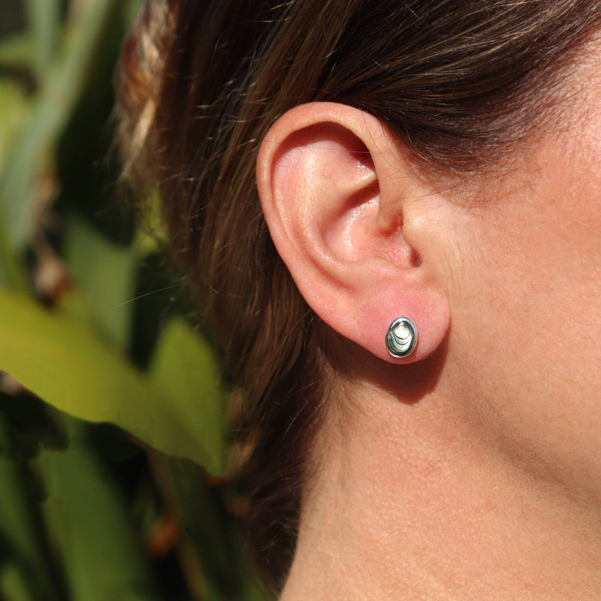 Sterling Silver and Paua Oval