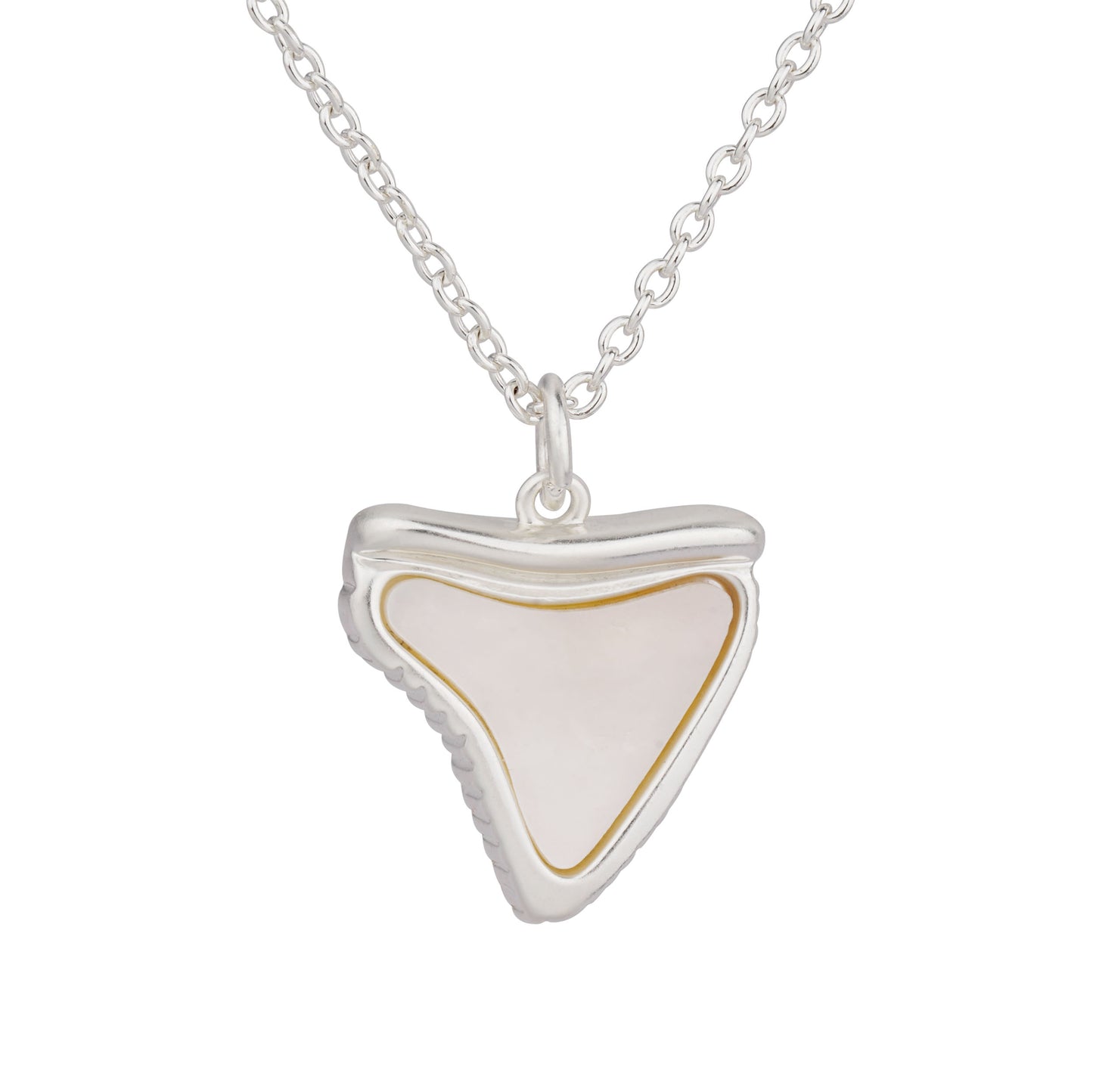 Shark Tooth