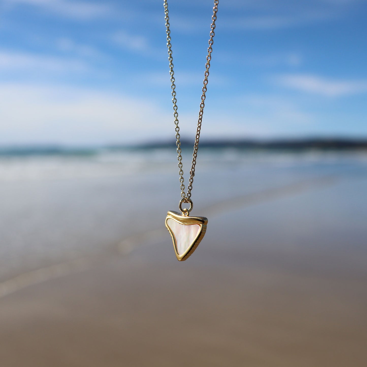 Shark Tooth