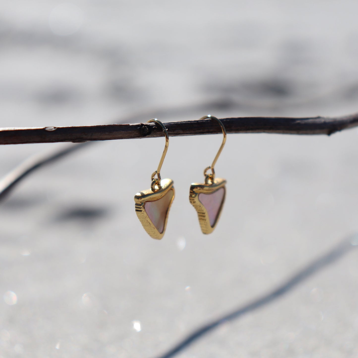 Shark Tooth