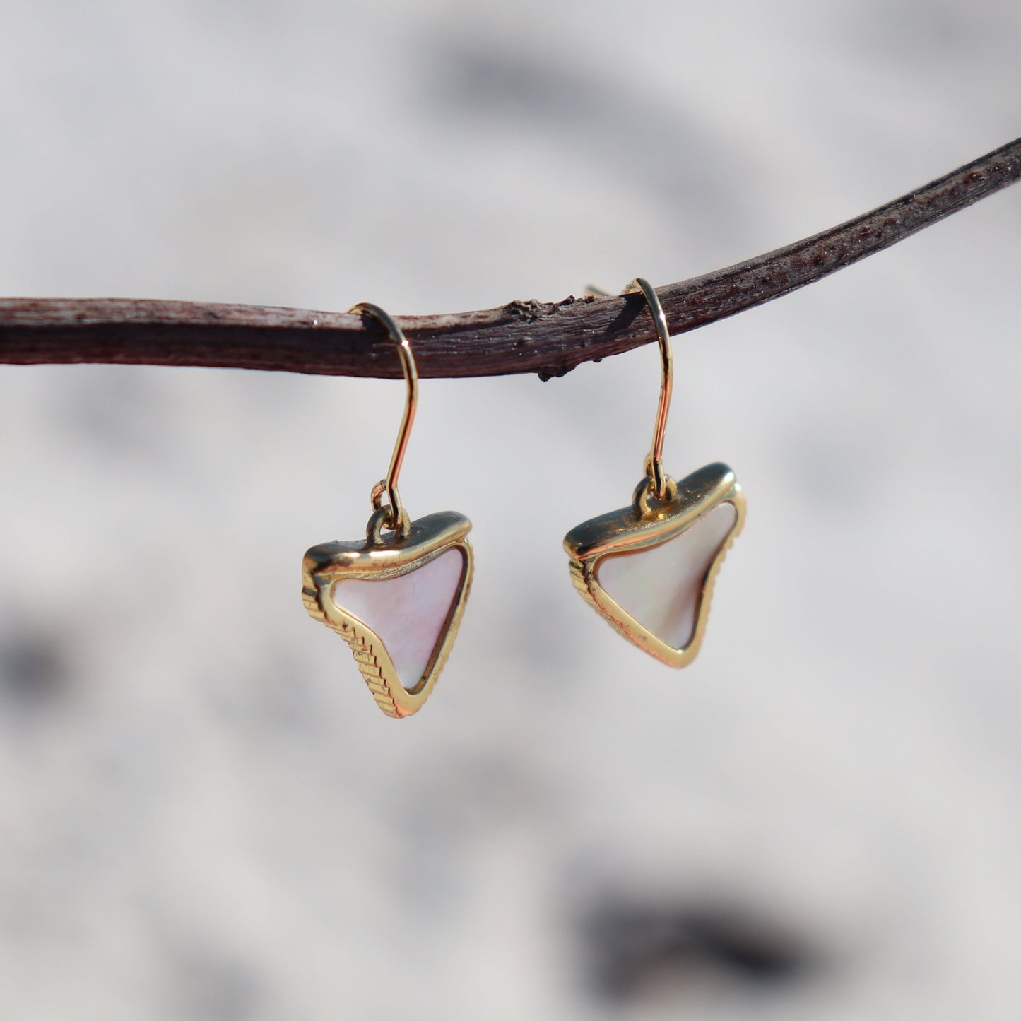 Shark Tooth
