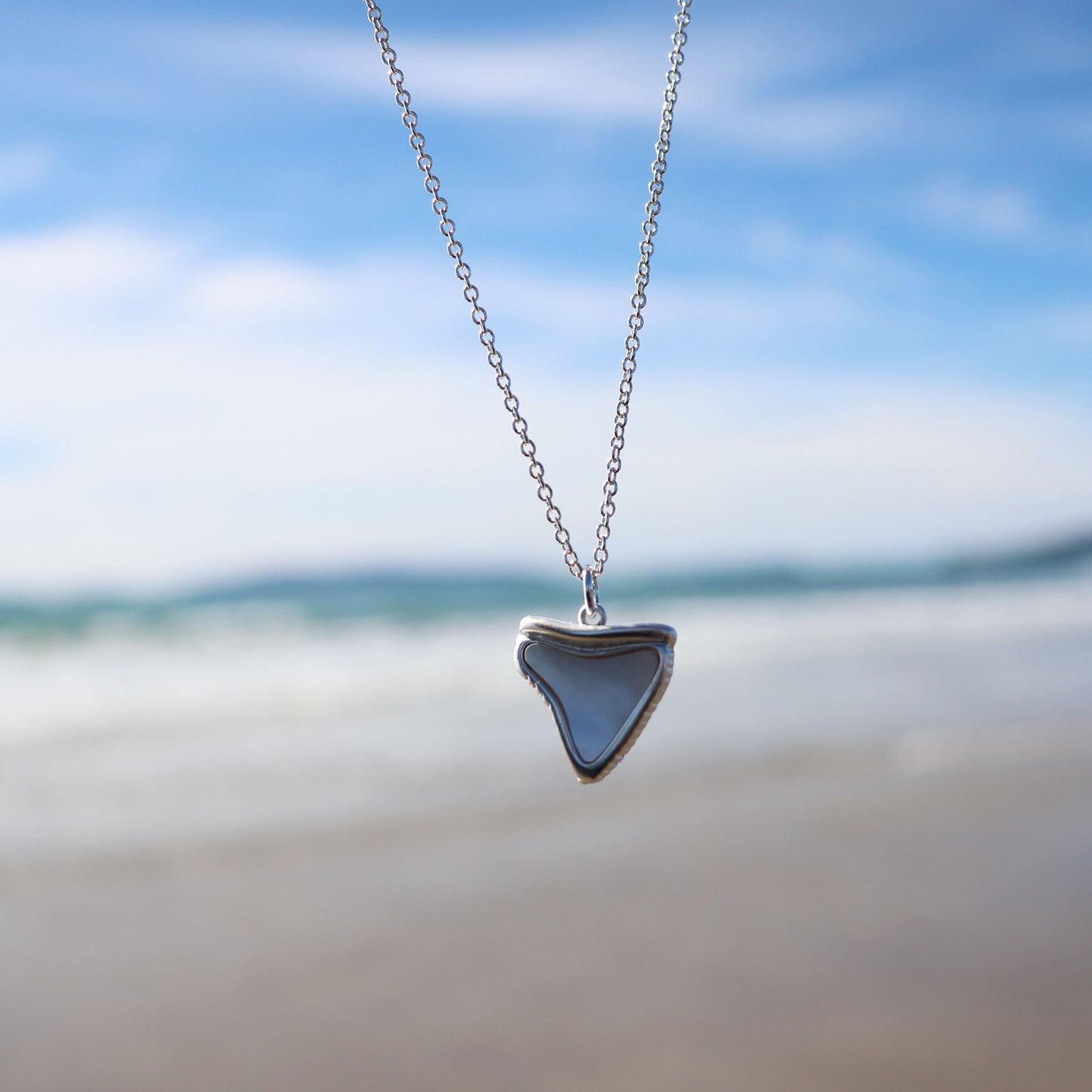 Shark Tooth