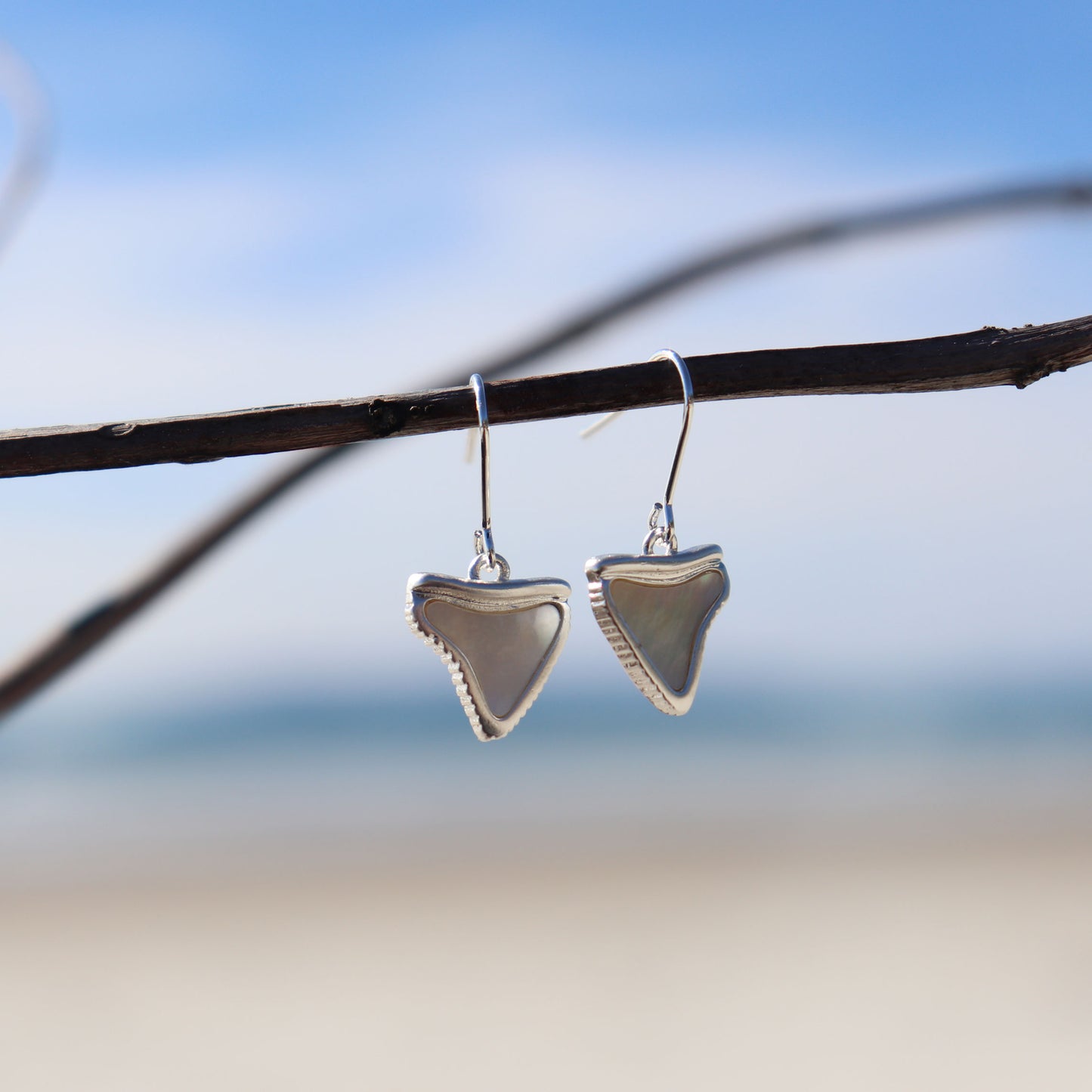 Shark Tooth