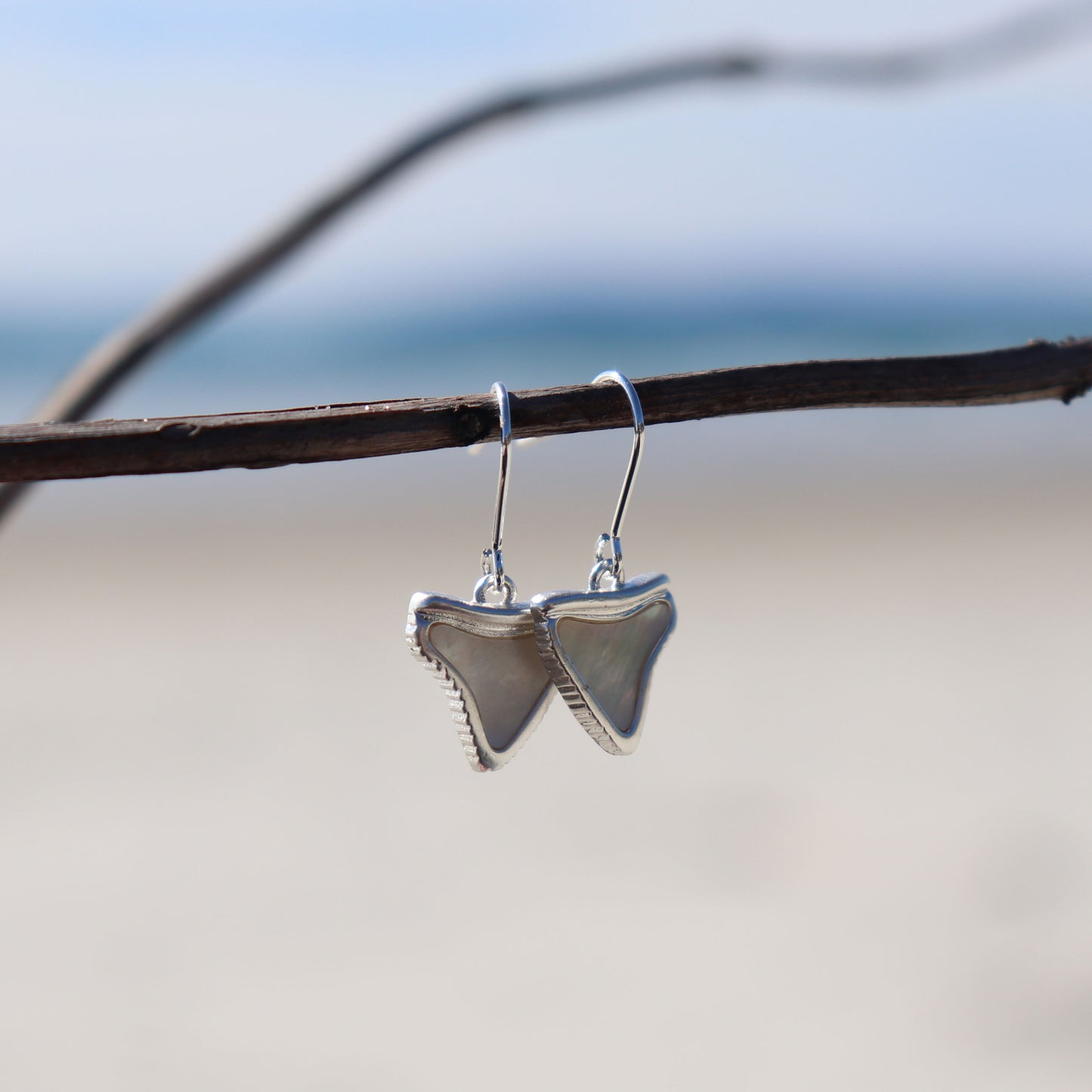 Shark Tooth