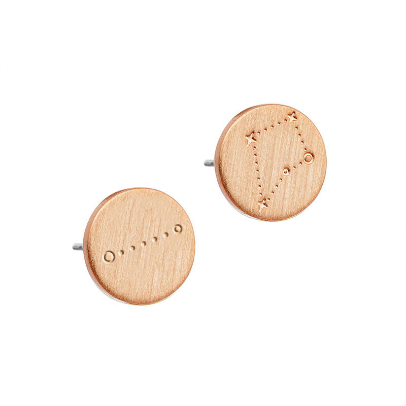 Māhutonga/Southern Cross and Pointers Stud Earrings